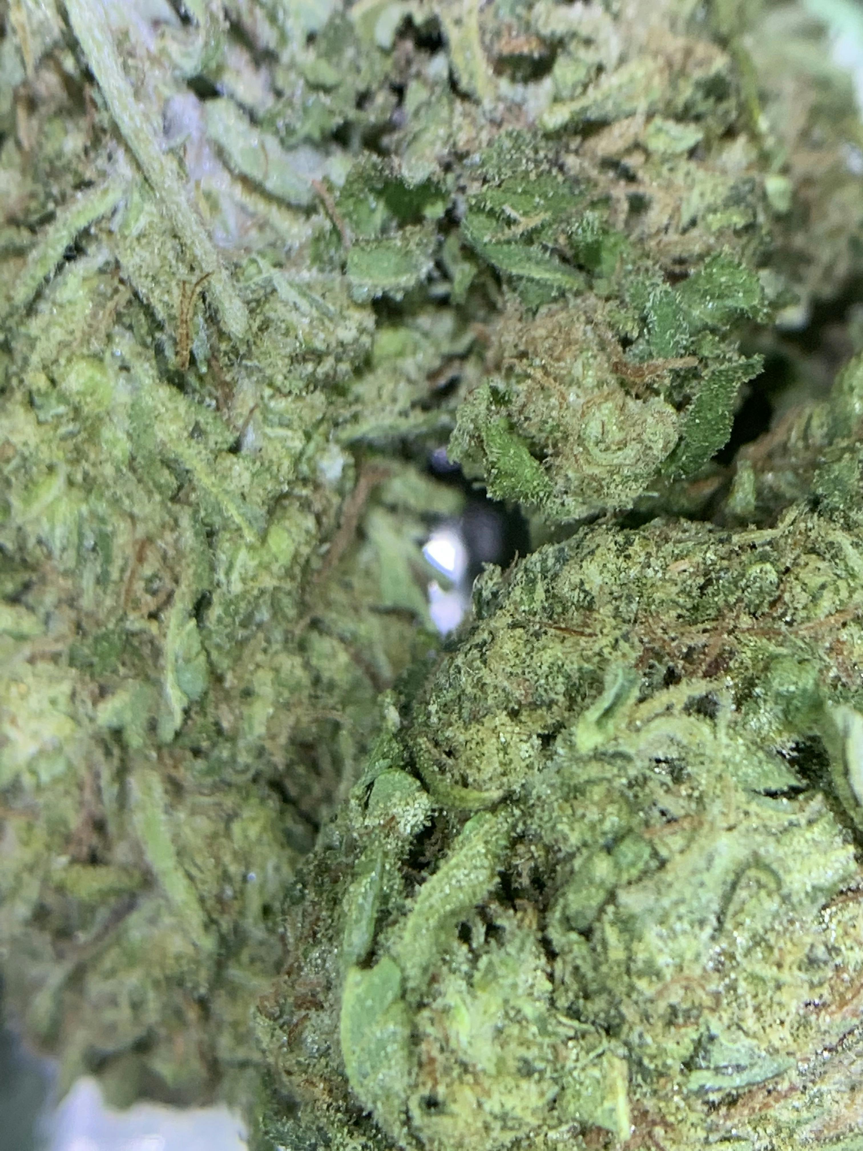 Sour OG