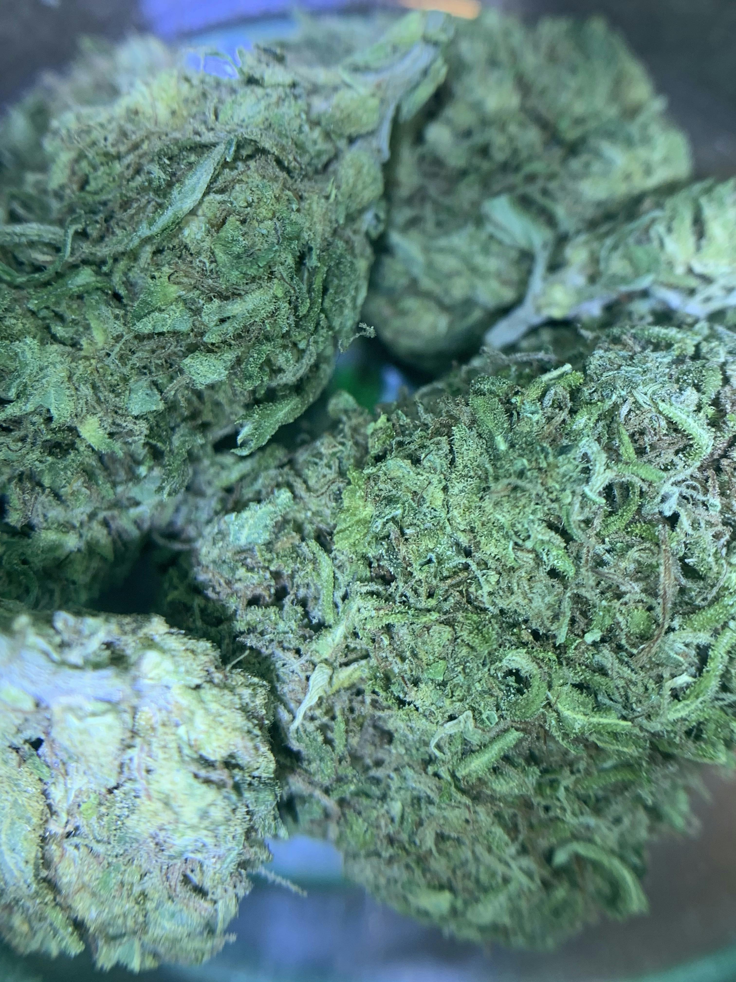 Hindu Kush