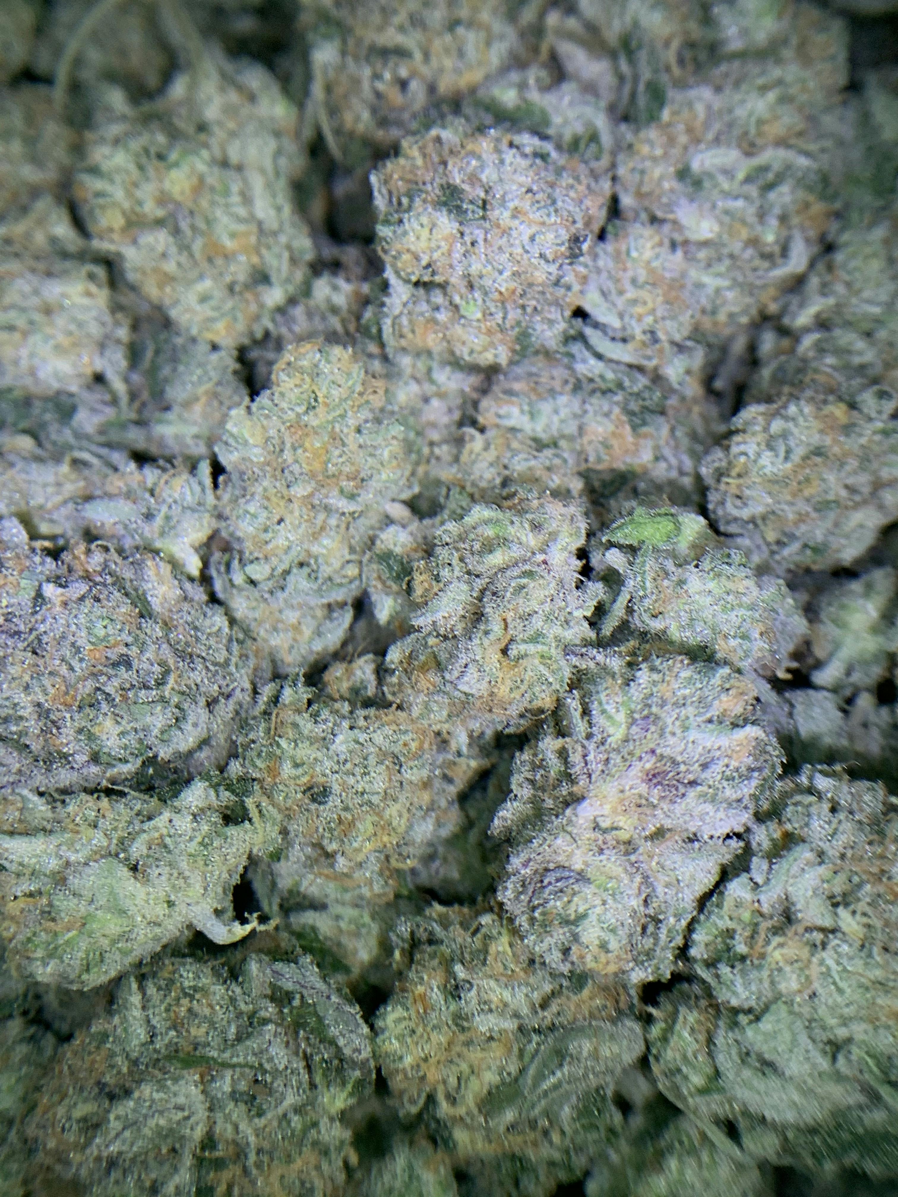 Cookie Crunch