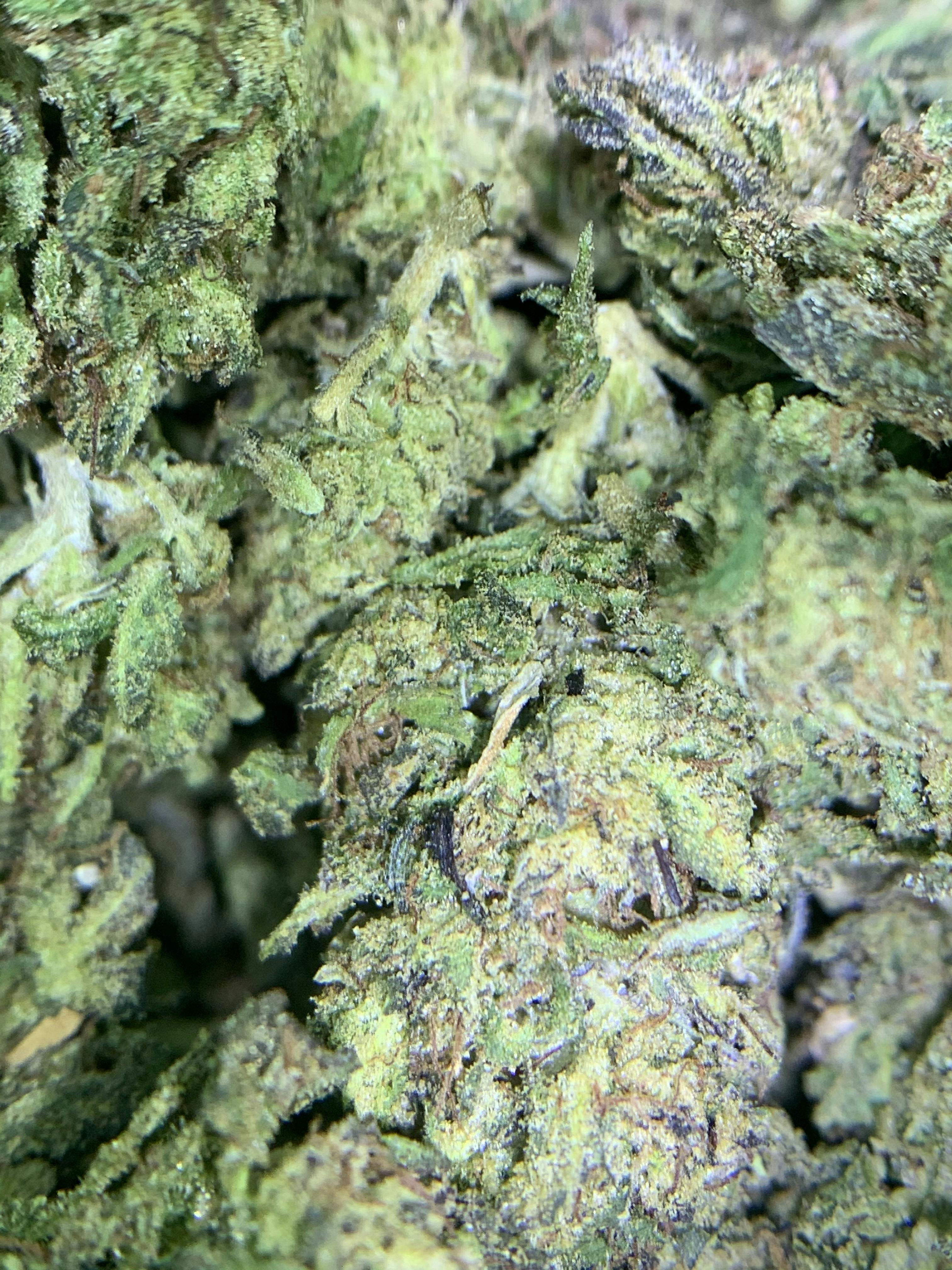 Malibu Pie