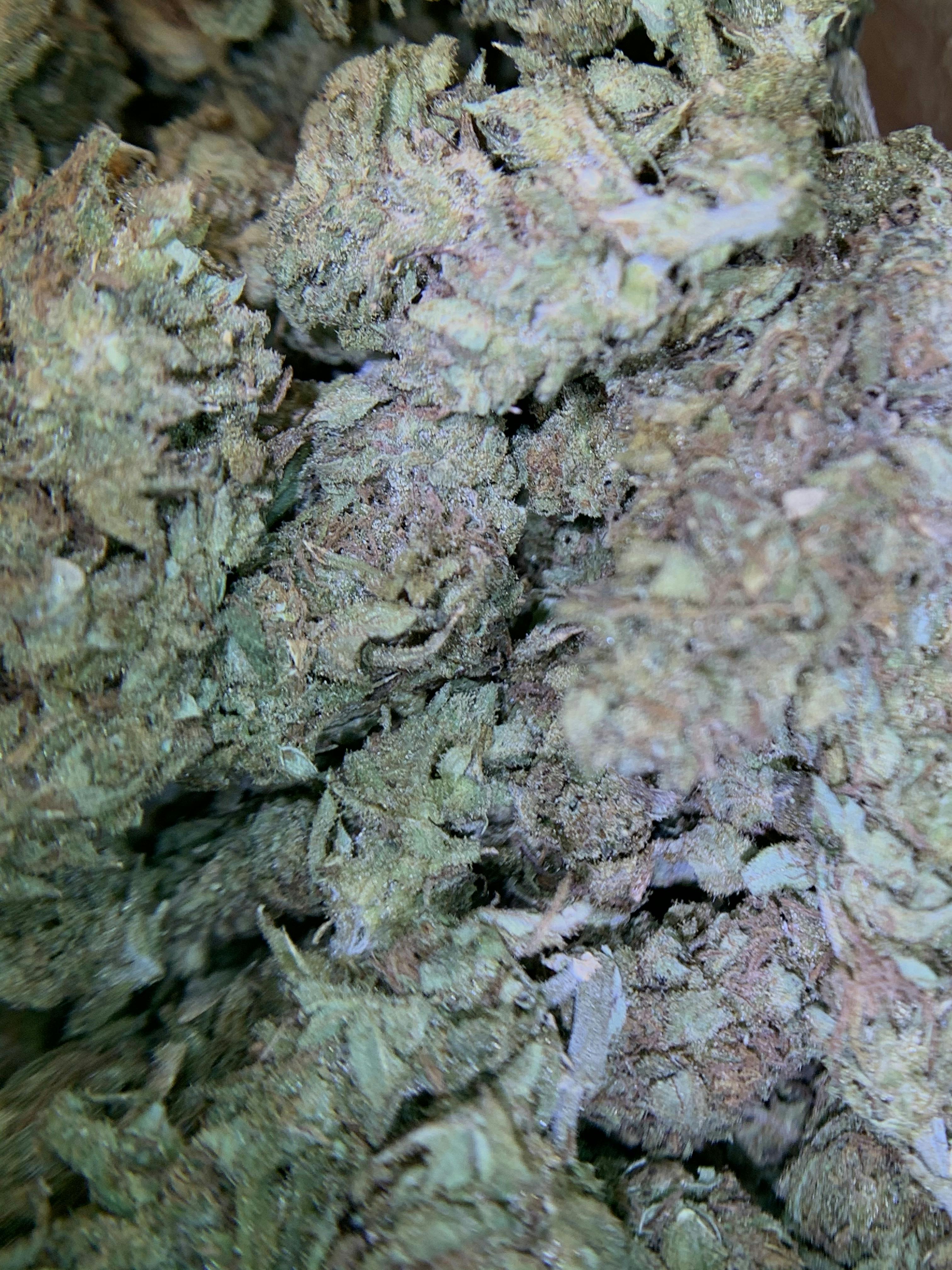 Lemon Kush