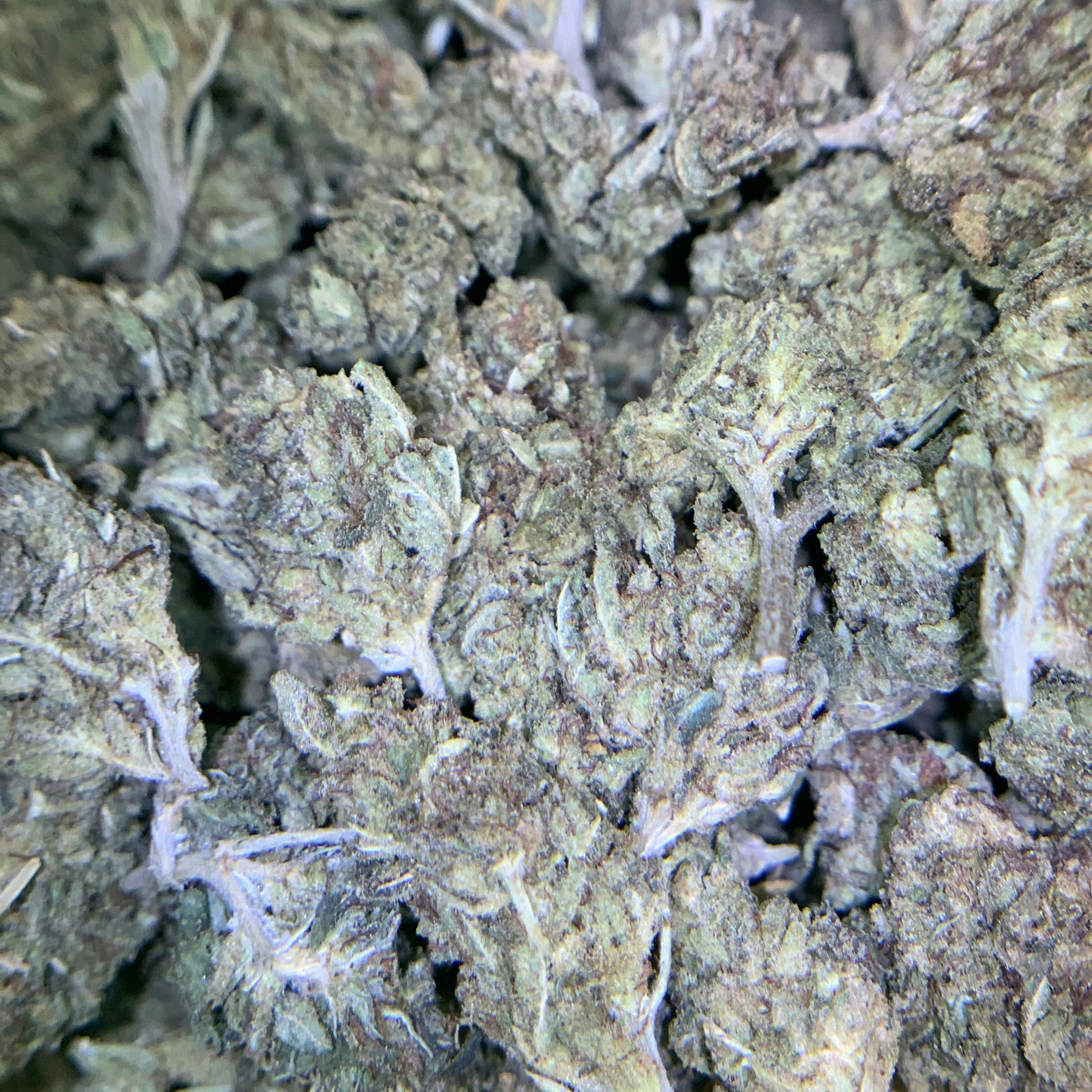 Gorilla Crack