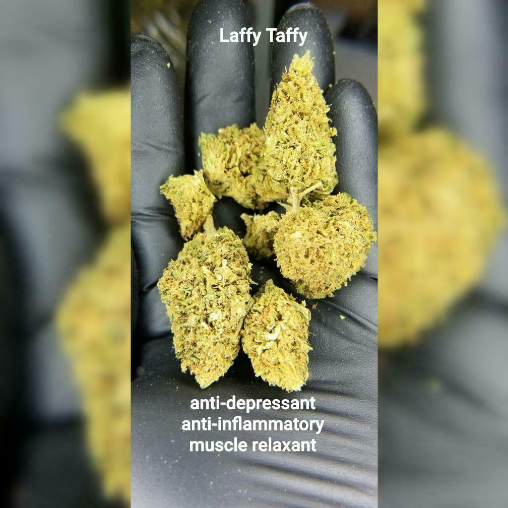 Laffy Taffy at GreenBox Dispensary