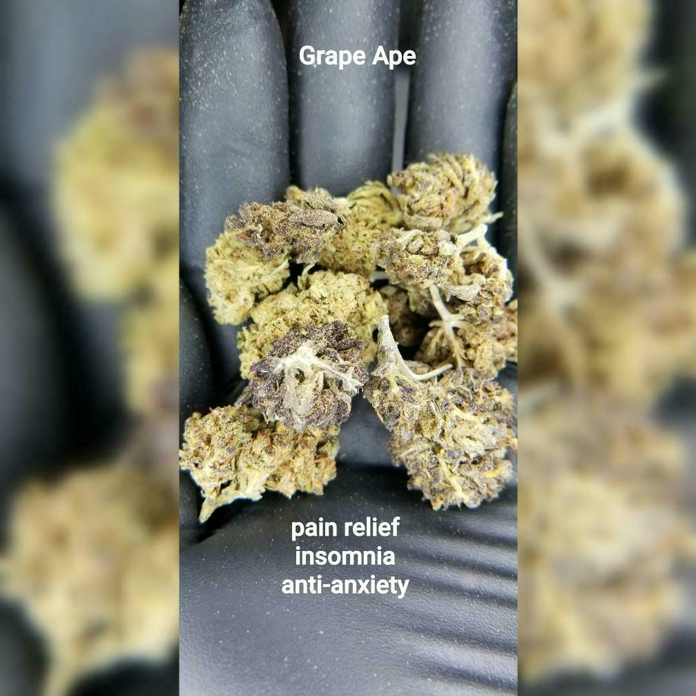 Grape Ape at GreenBox Dispensary