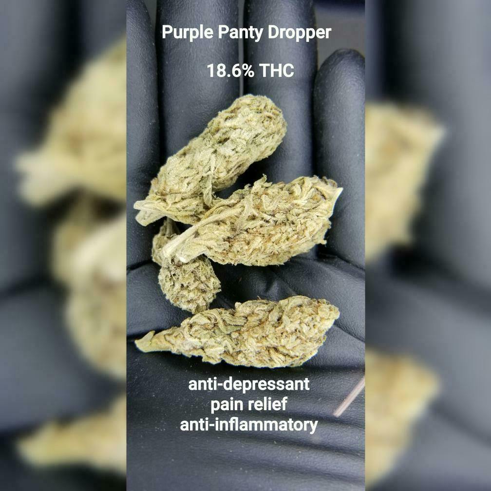 Purple Panty Dropper