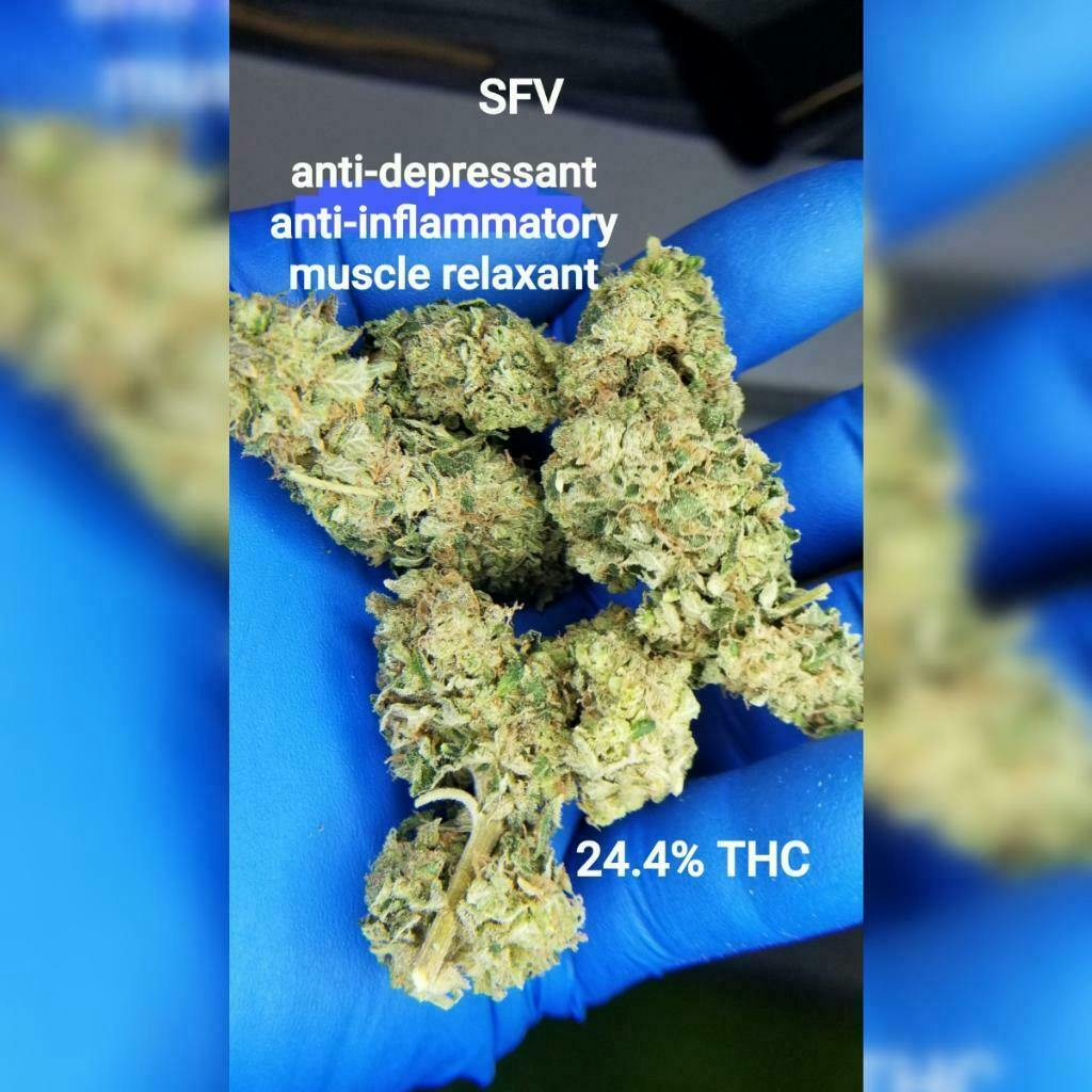 SFV