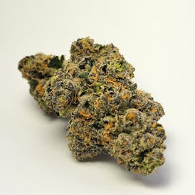 Bacio Gelato