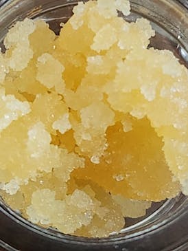 Champagne Sugar