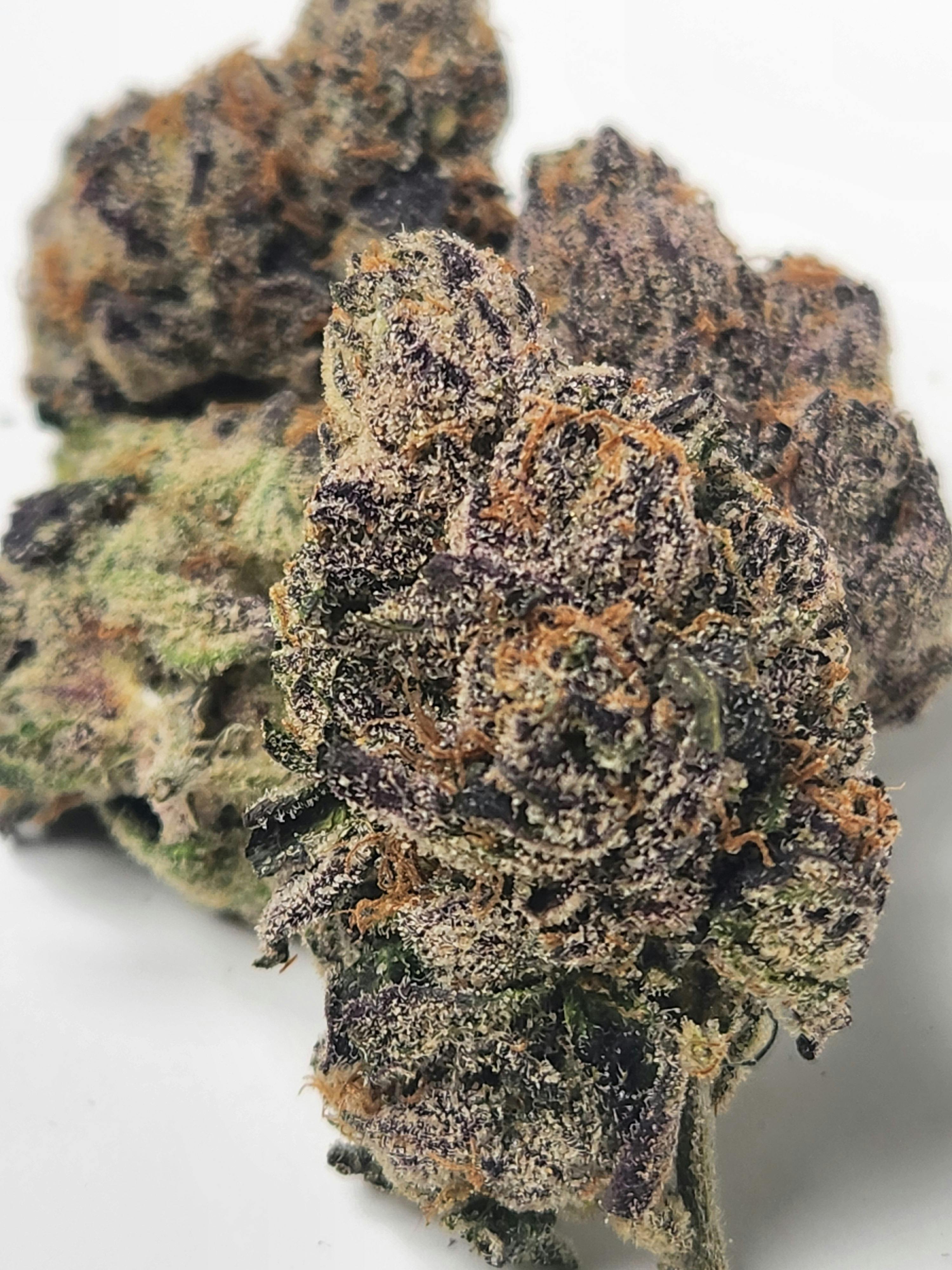 Runtz | Gelato x Skittlez | Hybrid