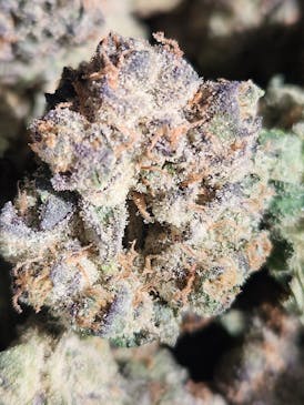 Headband (Hybrid)