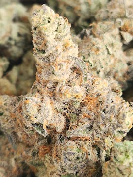 Secret Cookies | Cherry Pie x G.S.C | Indica