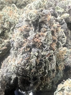 Purple Soda (Indica)