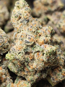 Glitter Bomb (Indica)