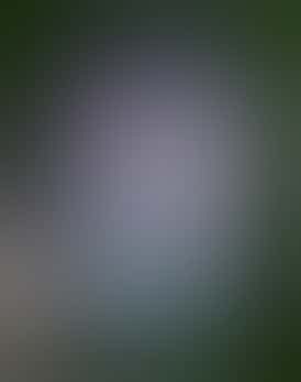 1g Cured Resin Dispo- Sin Mints (Oasis Refinery)