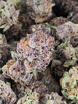 Crunch Berries (Blueberry x Triple OG) (Hybrid)