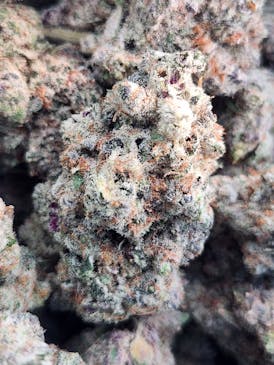 Cali Lemon Kush (Hybrid)