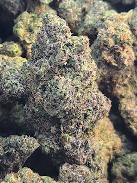 Purple Push Pop (Ice Cream Cake x Sunset Sherb x Jealousy) (Hybrid)