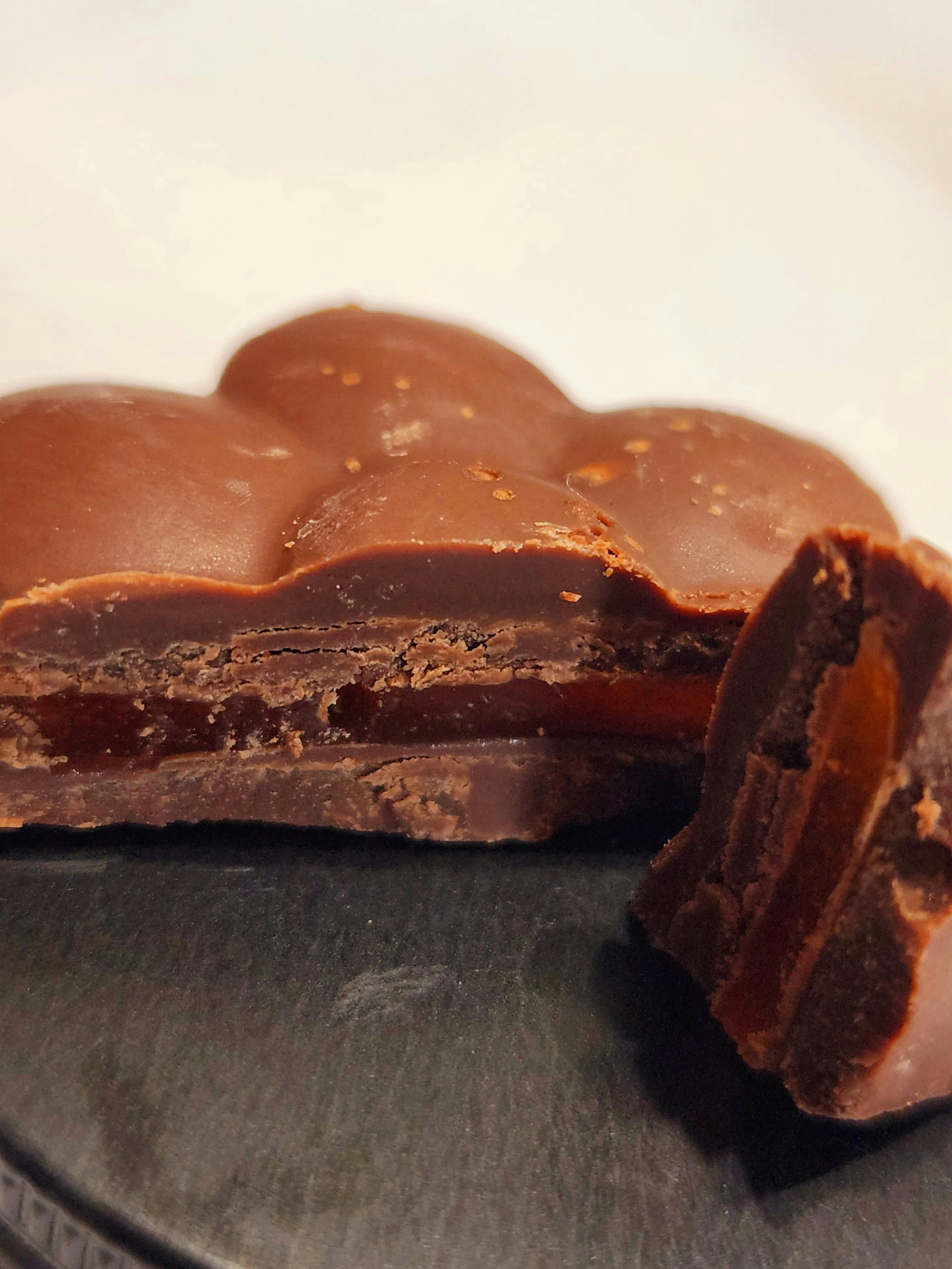 ChocoGummy | 100mg Edible | Casa De Las Flores