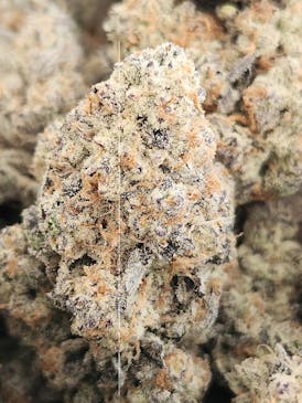 Dante's Inferno (Indica)