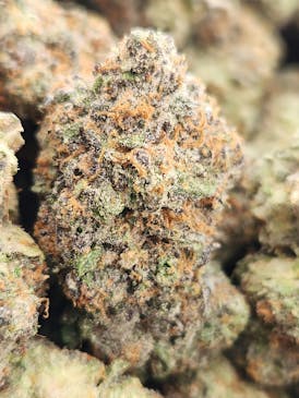 🆕️Red Velvet Runtz