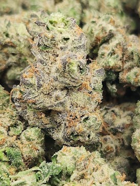 I-95 (Hybrid)