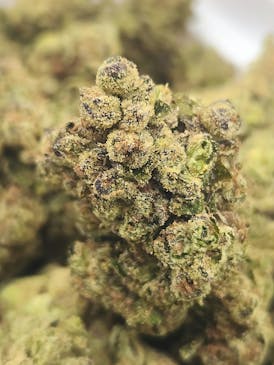 Blue Nerds (Hybrid)