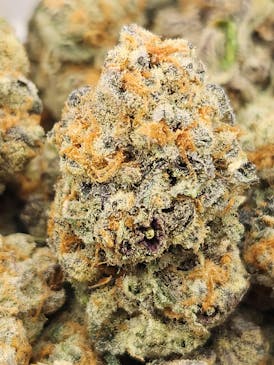 Purple Punch (Hybrid)