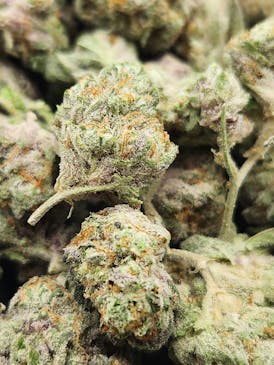 Smalls- Blooberry (Hybrid)