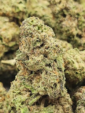 God Father OG | OG Kush x Alpha OG | Hybrid