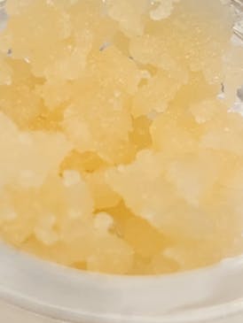 Platinum Garlic Sugar (Hybrid)