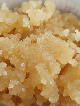Lemon Verzace Sugar (Hybrid)