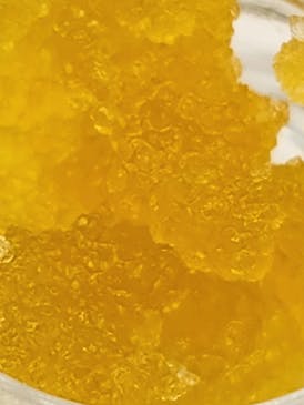 Magic Melon Sugar (Hybrid)