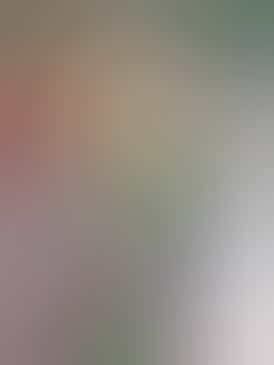 1g Preroll- Cream Smoothie (Indica)