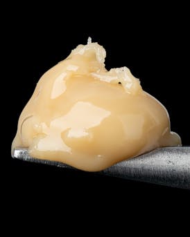 1g Live Hash Rosin- Banana Bandaid (73-159u) (Last Frontier)