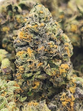 Purple Onyx | Ice Cream Cake x Jealousy | Hybrid