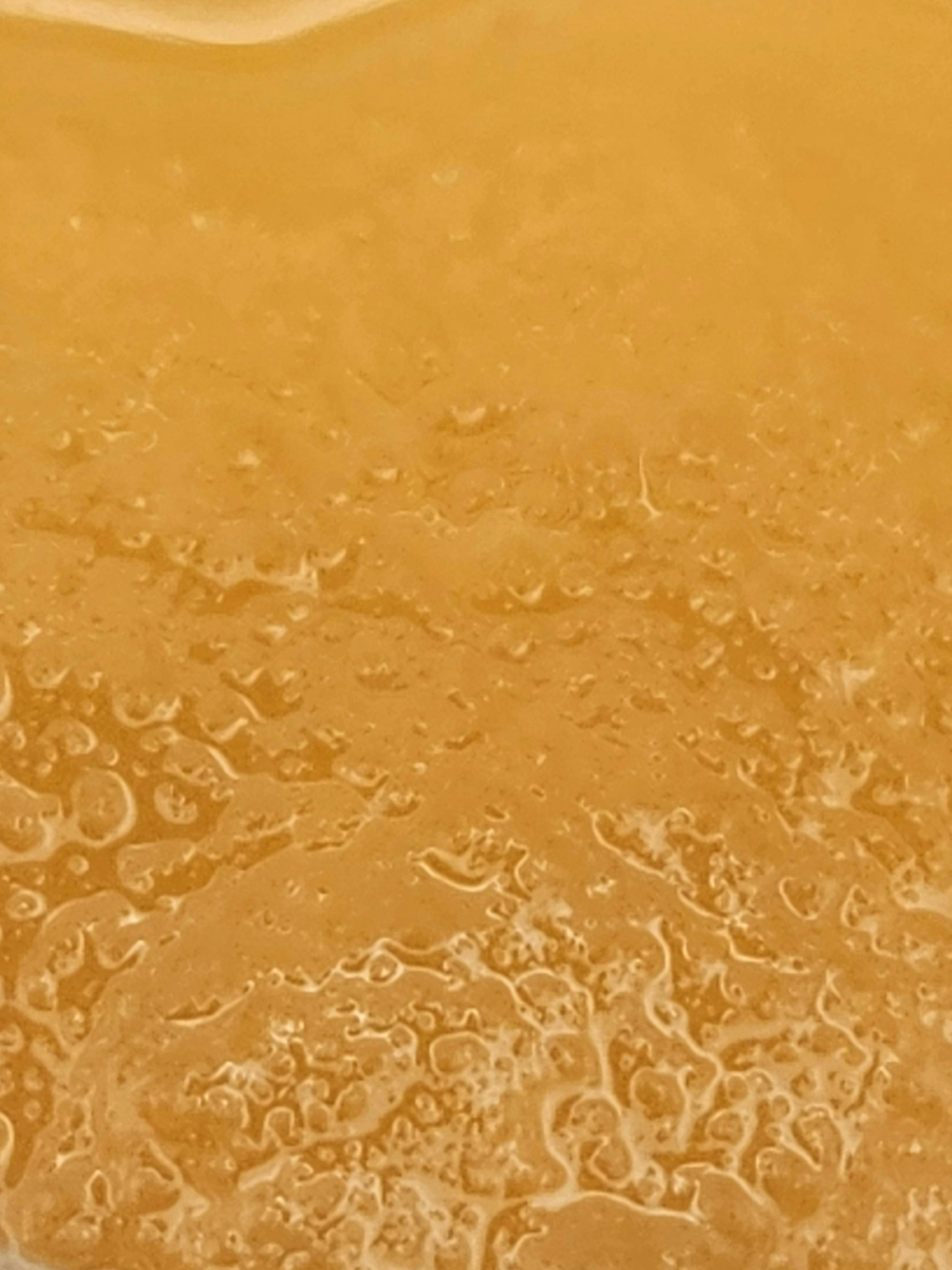 Dante's Inferno | Cured Resin Badder | Indica