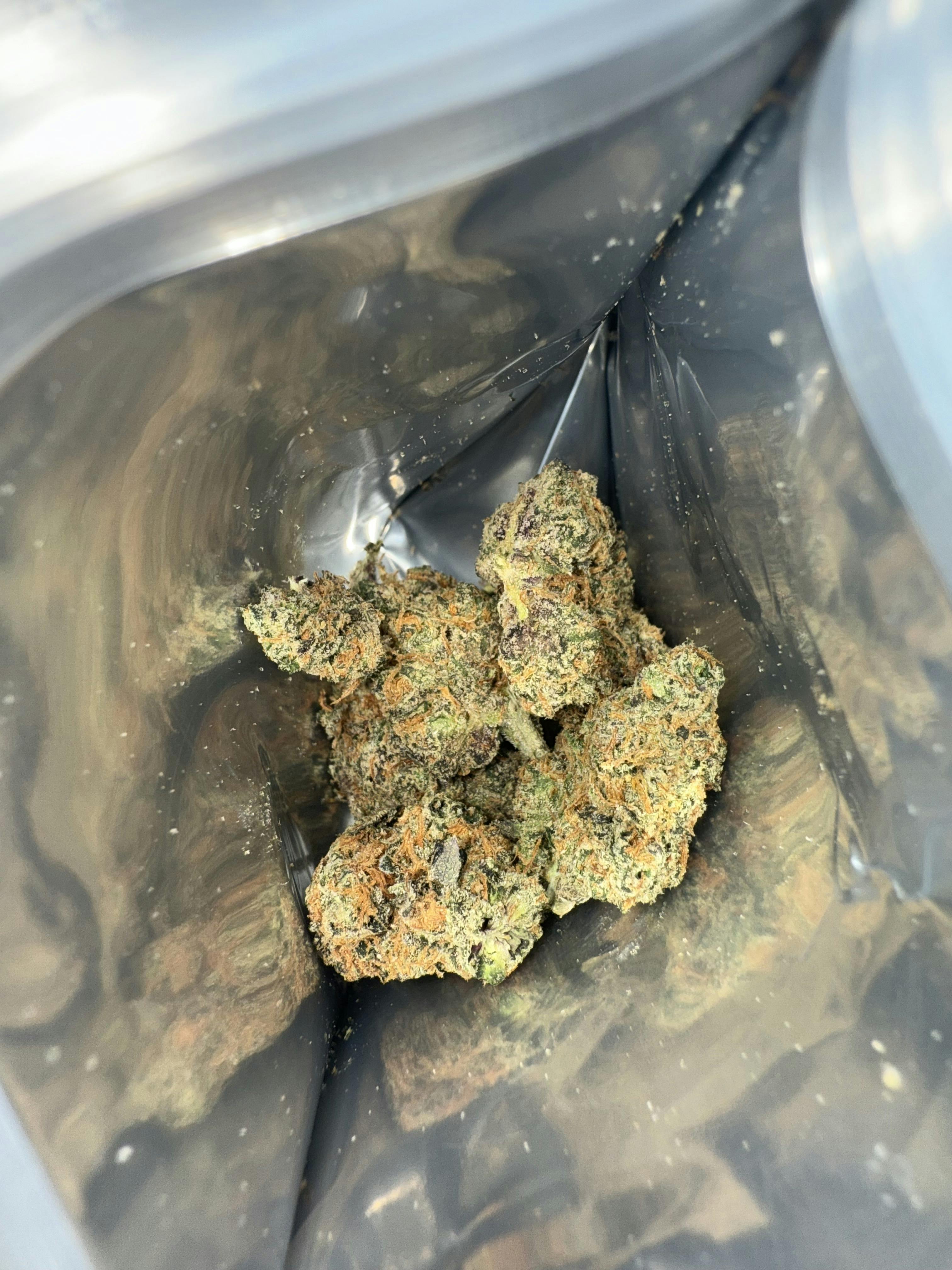 Pie Face | Sativa