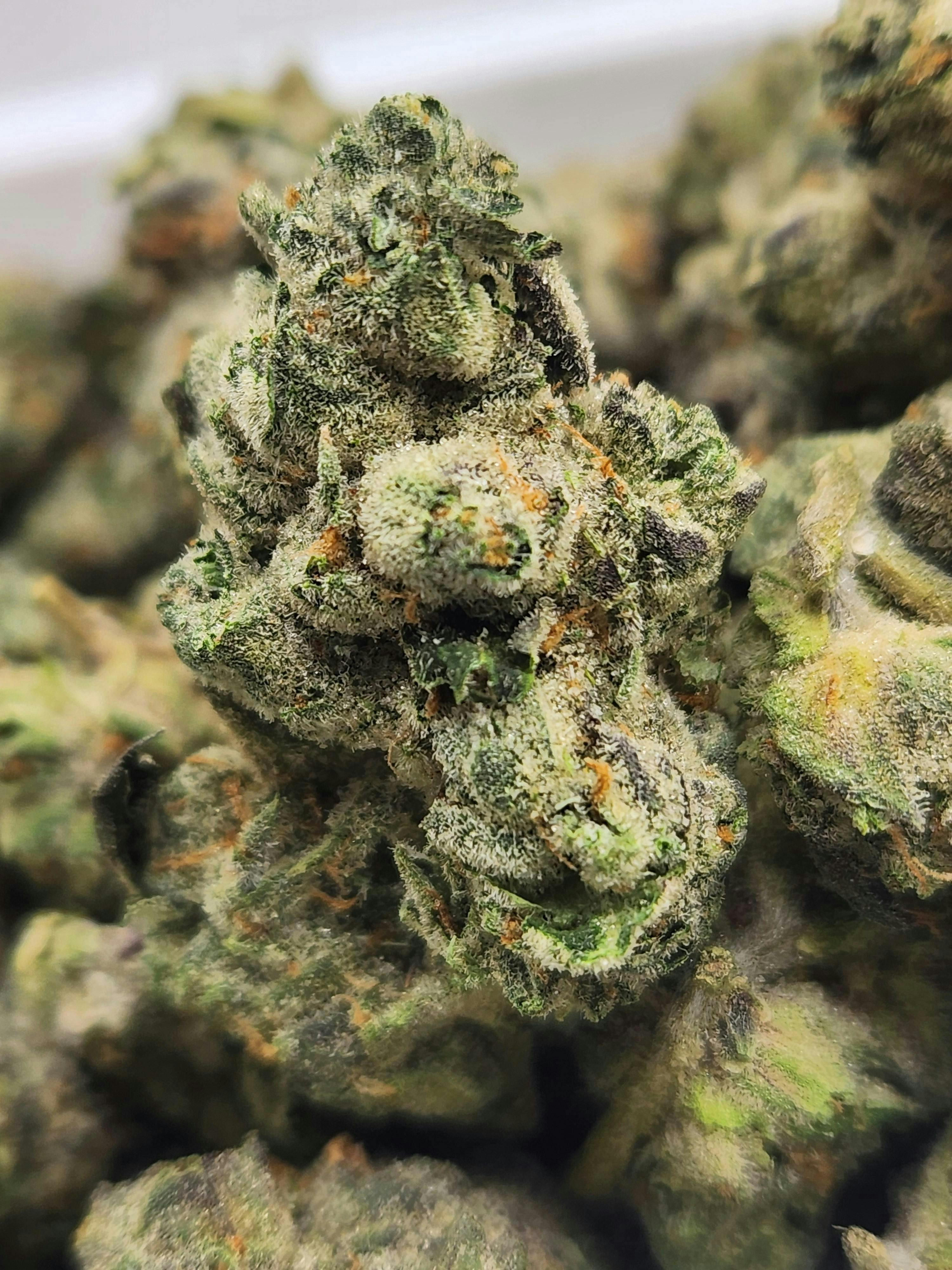 Black Marshmallow | Indica