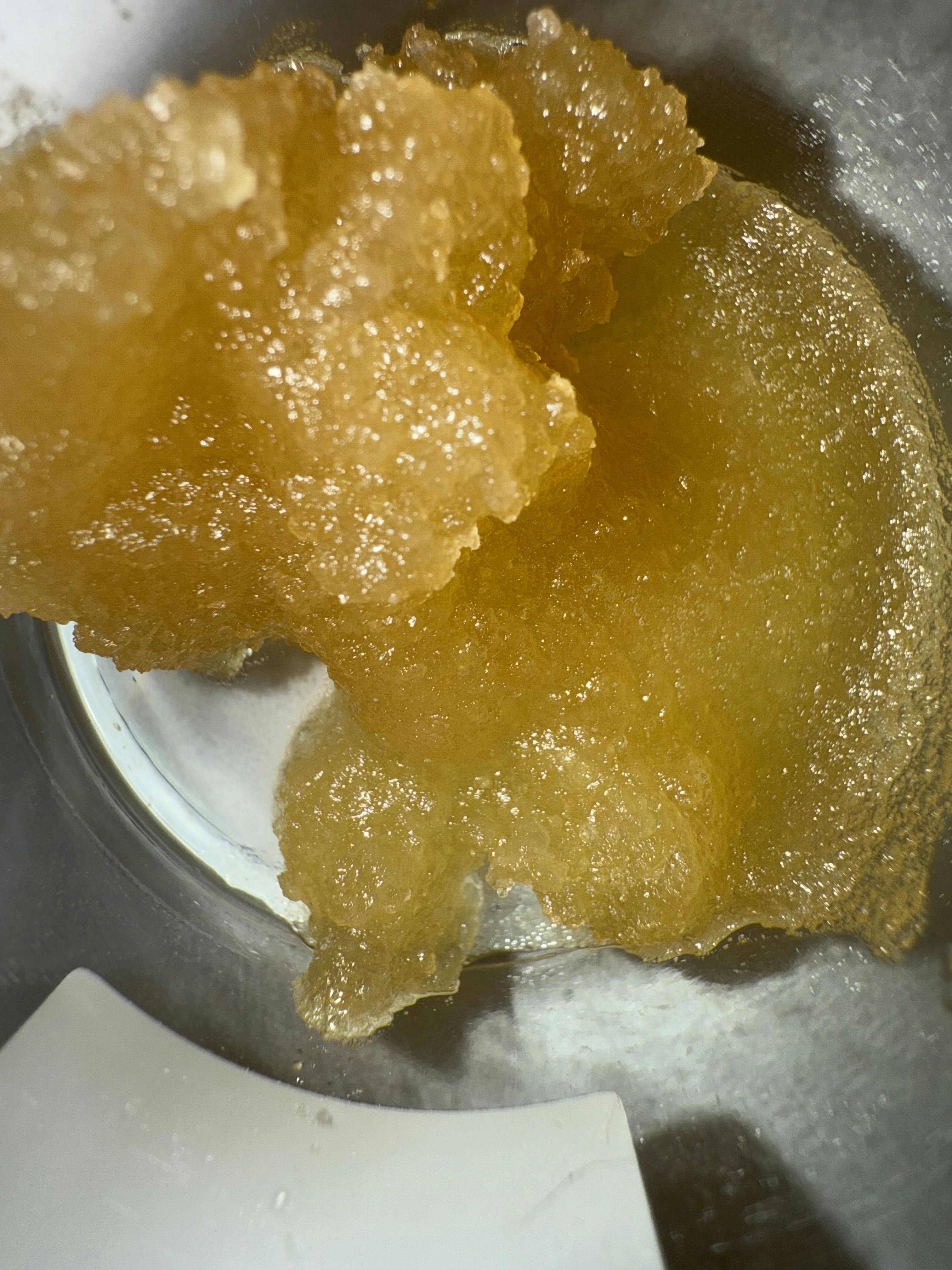 7g Cured Resin Baller Jar- Willy's Wonder (Oasis Refinery)