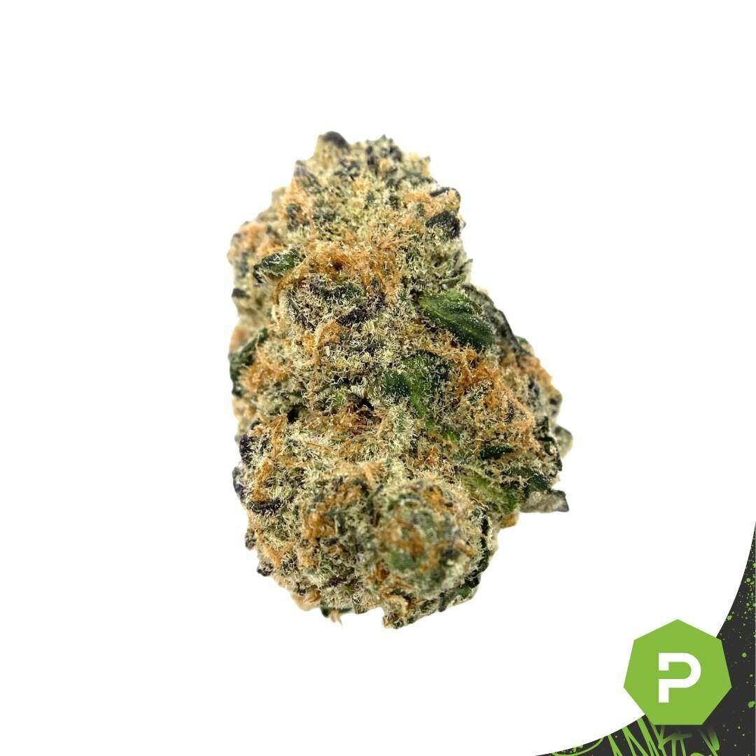 Hempire | Jesus OG