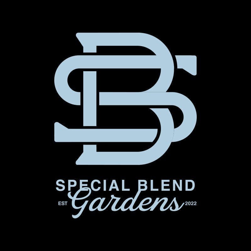 Special Blend Gardens | Sherb Cream Pie cannabis product