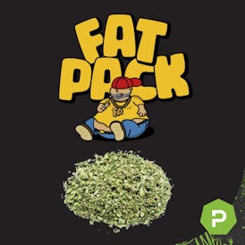 Fat Pack | Deep Fried Ice Cream Shake