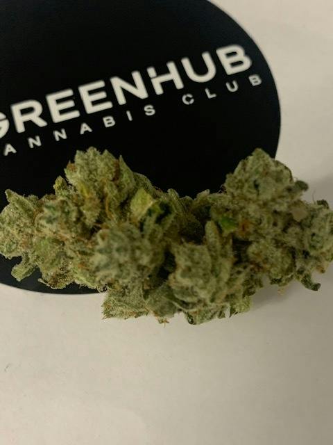 GORILLA GLUE #4
