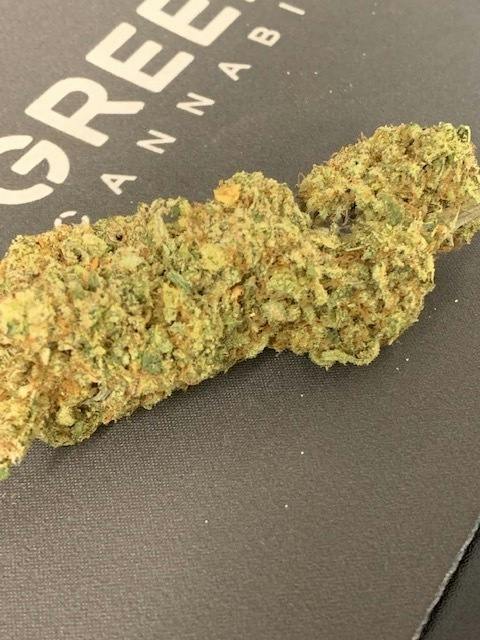 Skunk