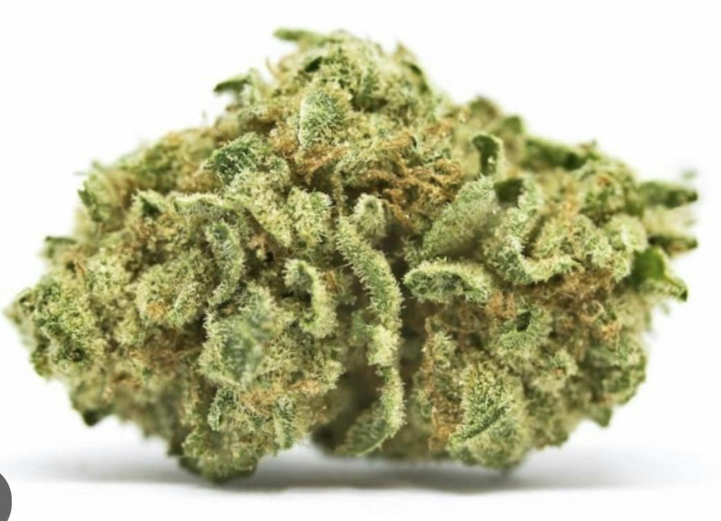 Lemon Head | Big Buds | 3.5g by Kims Connections
