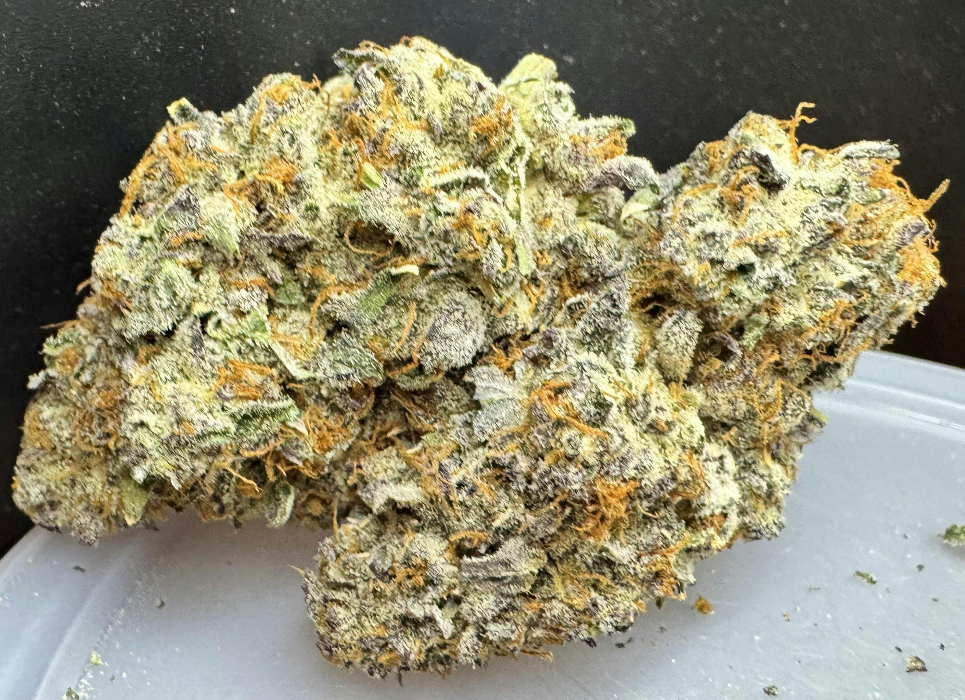 CHERRY PALOMA