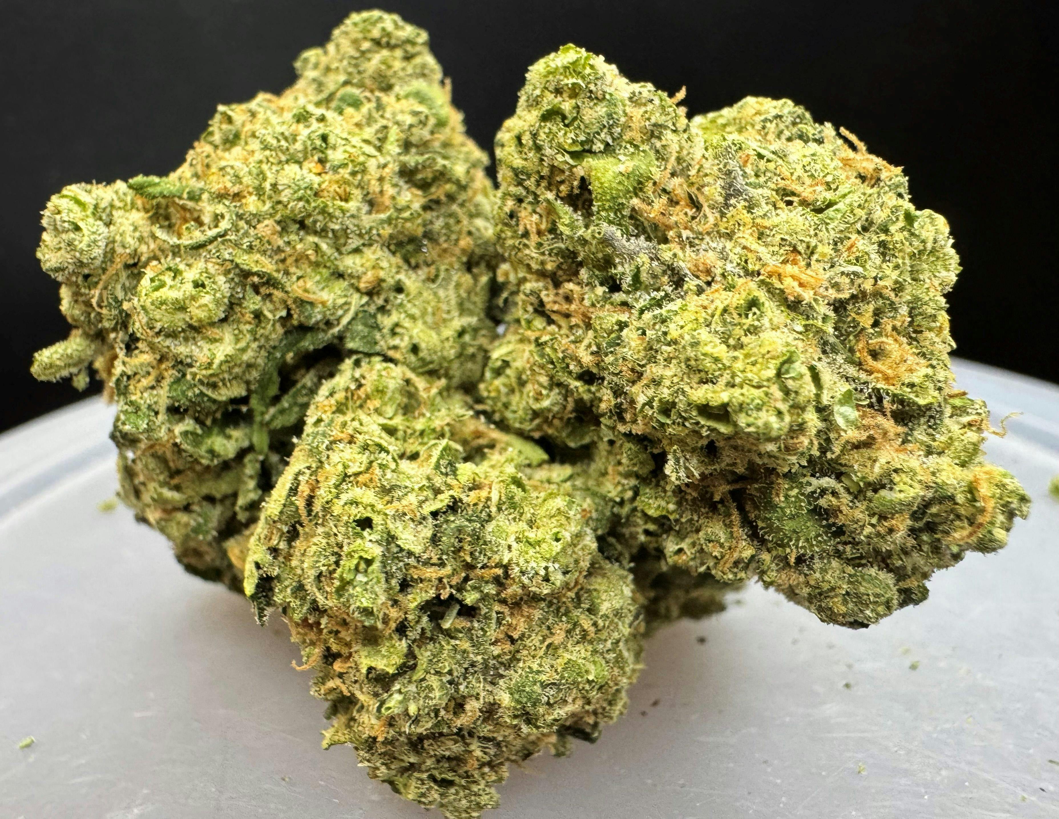 DURBAN POISON