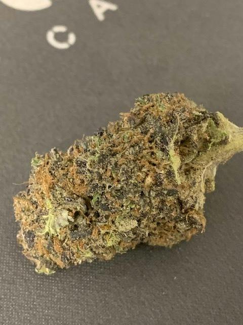 NYC DIESEL