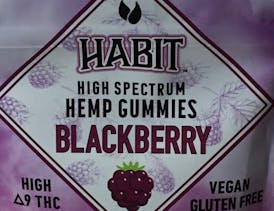 No Card Required THC - Habit - 100mg THC & 100mg CBD Hemp Gummies - Blackberry