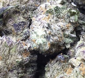 Top Shelf Flower - PBJ Breath - 27% Hybrid